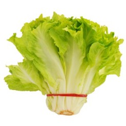 Elastici In Gomma Rossa per Agricoltura 1kg - antiossidante - resistente raggi UV - diametro 3 2