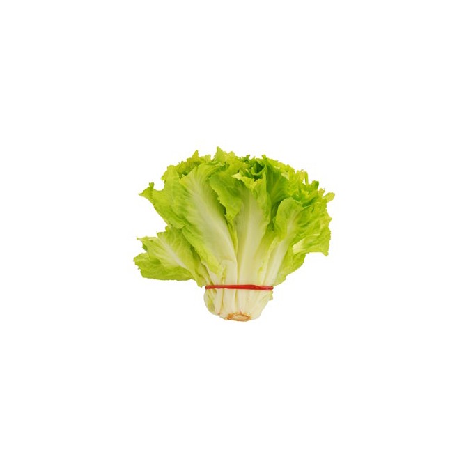 Elastici In Gomma Rossa per Agricoltura 1kg - antiossidante - resistente raggi UV - diametro 1