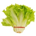 Elastici In Gomma Rossa per Agricoltura 1kg - antiossidante - resistente raggi UV - diametro 1