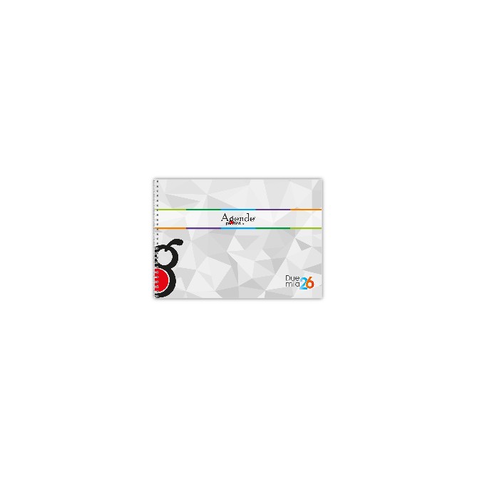 Planning mensile 2026 2027 spiralato INGLESE 30x42cm A3 25 24fogli 6