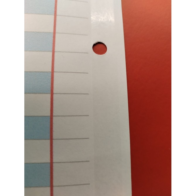 Ricambi Didattici Facilitati per Dislessia e Disgrafia, 4 MM, A4 con 4 Fori, 40 Fogli da 100gr RINFORZATI, 4a e 5a El 5