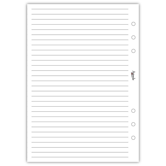 Ricambio agenda organizer a righe 15x21cm A5 6fori 50 fogli bianco 3