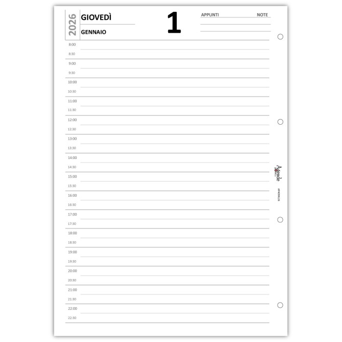 Agende Ricambio Organizer Giornaliero 2026, Formato A4 21x30 cm, 1 Pagina per Giorno, 4 Fori 4