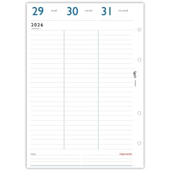 Ricambio Agenda Settimanale 2026 A4, Formato 21x30 cm, 4 Fori, Carta FSC 90gr, Layout Verticale Minimalista, Turchese e Grigio 3 2