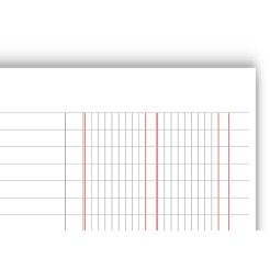 Ricambi Forati RINFORZATI A4 per Quaderno ad Anelli, Partita Doppia 2 Colonne, 40 Fogli, 100g, con Rinforzo 1 2