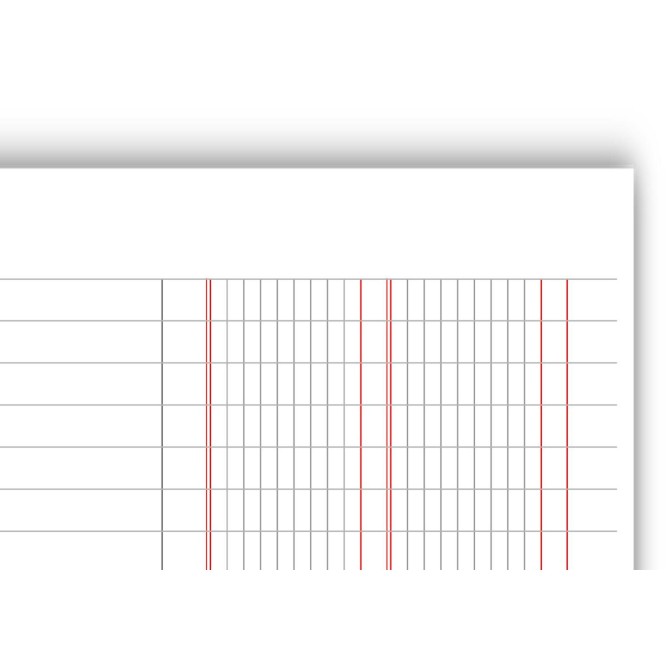 Ricambi Forati RINFORZATI A4 per Quaderno ad Anelli, Partita Doppia 2 Colonne, 40 Fogli, 100g, con Rinforzo 2