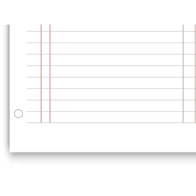 Ricambi Forati RINFORZATI A4 per Quaderno ad Anelli, Partita Doppia 2 Colonne, 40 Fogli, 100g, con Rinforzo 3
