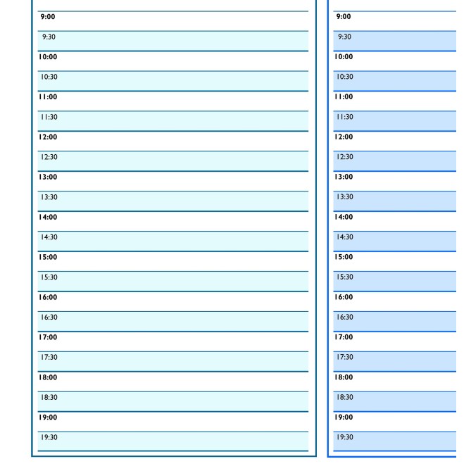 Planning giornaliero perpetuo spiralato 21x30cm BLU A4 orario 30min 70fogli 4