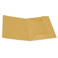 10 Cartella Portadocumenti cartoncino 3 Lembi colore TENUE - 25x33 cm - da 200 gr 1