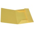 10 Cartella Portadocumenti cartoncino 3 Lembi colori FORTI - 25x33 cm - da 200 gr 5