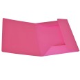 25 Cartella Portadocumenti cartoncino 3 Lembi colori FORTI - 25x34,5 cm - da 200 gr 4
