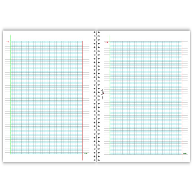 Quadernone spiralato didattico per la dislessia e disgrafia - 50 fogli 100 pagine da 100 Gr 5