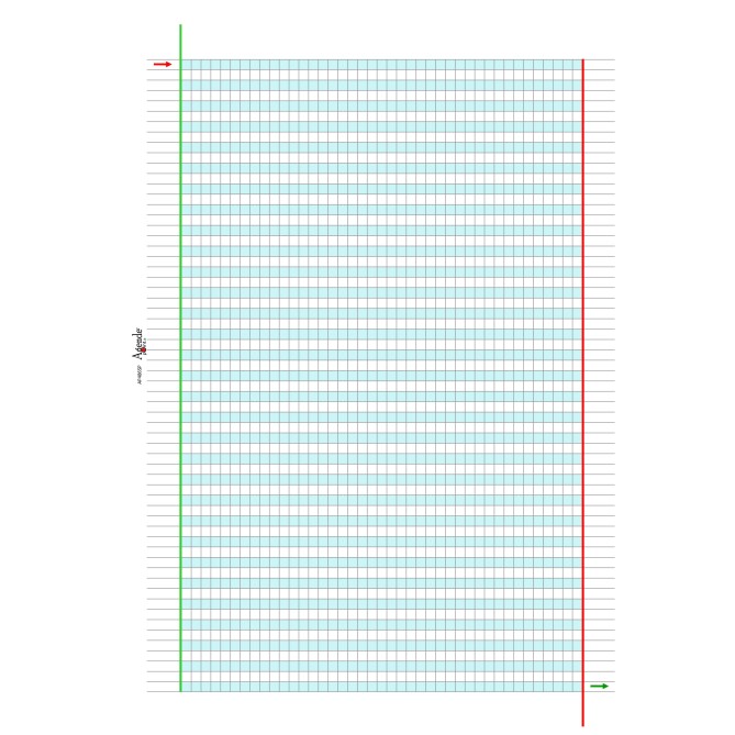 Quadernone spiralato didattico per la dislessia e disgrafia - 50 fogli 100 pagine da 100 Gr 8