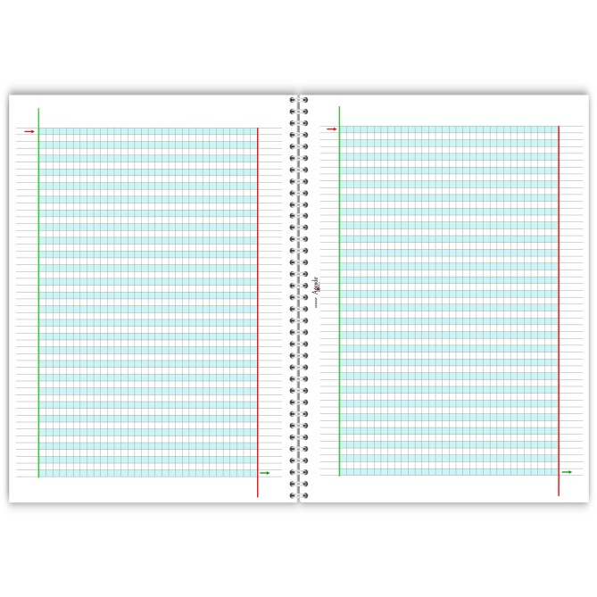 Quadernone spiralato didattico per la dislessia e disgrafia - 50 fogli 100 pagine da 100 Gr 10