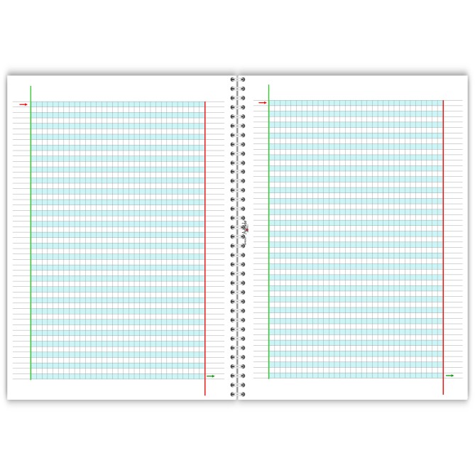 Quadernone spiralato didattico per la dislessia e disgrafia - 50 fogli 100 pagine da 100 Gr 15