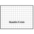 Blocco Notes 10X15 Pigna - 10 Pezzi - Quadri 5 Mm 1
