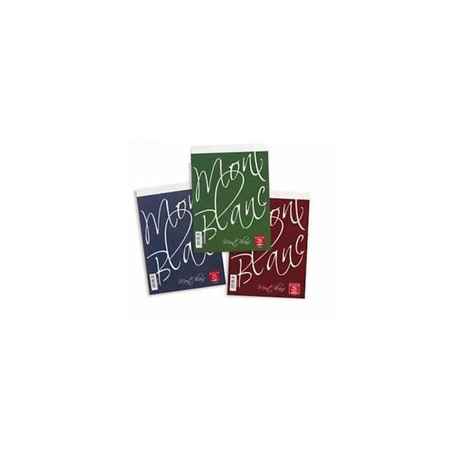 Blocco Notes 21X30 Pigna - 10 Pezzi - Quadri 5 Mm 2
