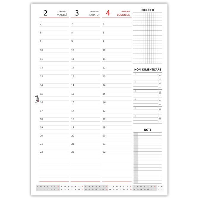 Agenda settimanale 2026 spiralata plastificata 21x30cm A4 bianco 5