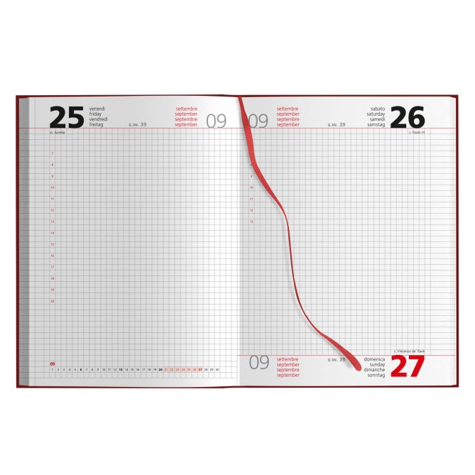 Agenda giornaliera 2026 QUADRETTI 15x21cm A5 multilingua 2