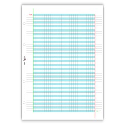 Ricambi Didattici Facilitati per Dislessia e Disgrafia, Quadretti 5mm, A4 con 4 Fori, 40 Fogli da 100gr RINFORZATI, 3a Elem. 11 2