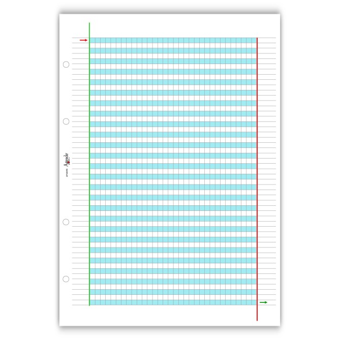 Ricambi Didattici Facilitati per Dislessia e Disgrafia, Quadretti 5mm, A4 con 4 Fori, 40 Fogli da 100gr RINFORZATI, 3a Elem. 1