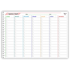 Planning da tavolo A3 spiralato INGRESSO OSPITI  -14 ingresso per giorno -  30x42 cm  - 55 fogli 1