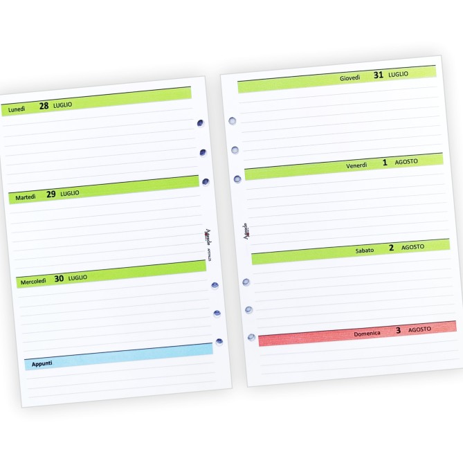 Ricambio agenda organizer settimanale GREEN 2026 15x21cm A5 90gr 6fori 9