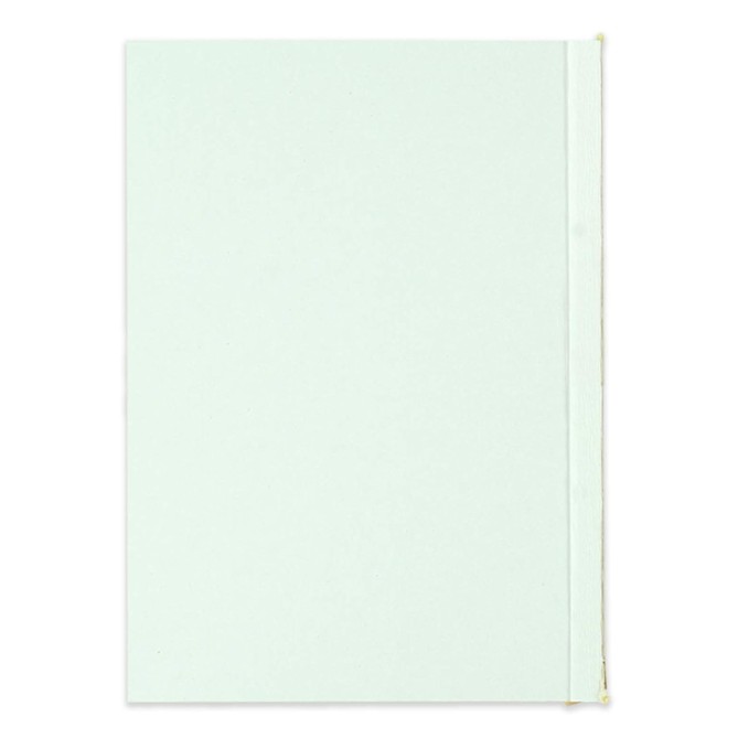 Ricambio agenda giornaliero NON DATATO a righe carta AVORIO cm 15x21 (A5) - cartonato con varie pagine note appunti 2