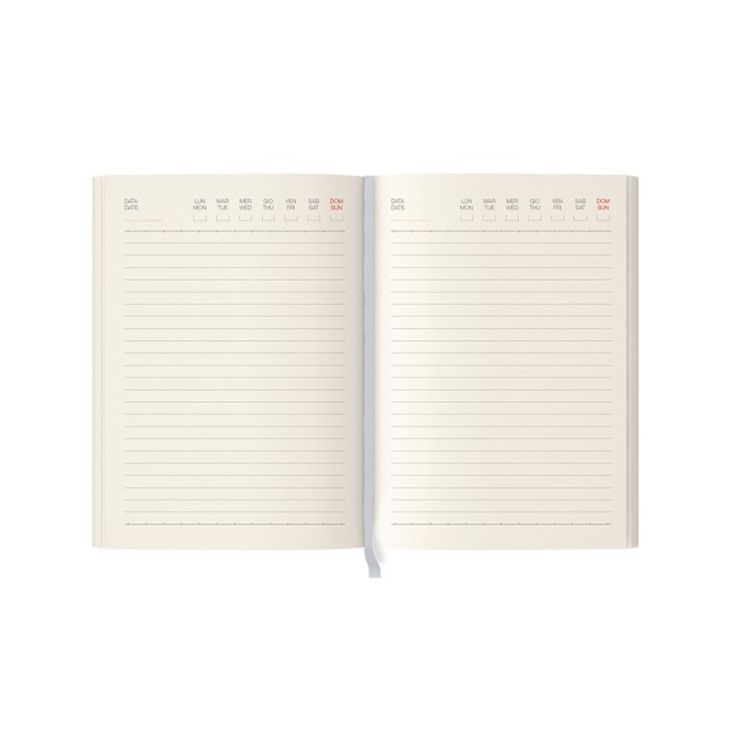 Ricambio agenda giornaliero NON DATATO a righe carta AVORIO cm 15x21 (A5) - cartonato con varie pagine note appunti 4