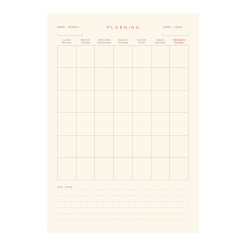 Ricambio agenda giornaliero NON DATATO a righe carta AVORIO cm 15x21 (A5) - cartonato con varie pagine note appunti 4 2