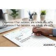 Schede Rigate 29,7x21 A4 50 Pz Verticale Colors Schede A Righe Per Schedario 4