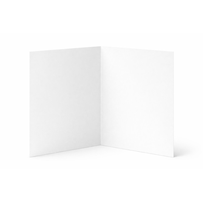 Cartelle Portadocumenti in Cartoncino Semilucido, Bianco, 350 gr, 22,5 x 32 cm, senza Lembi, 25 Pezzi 3