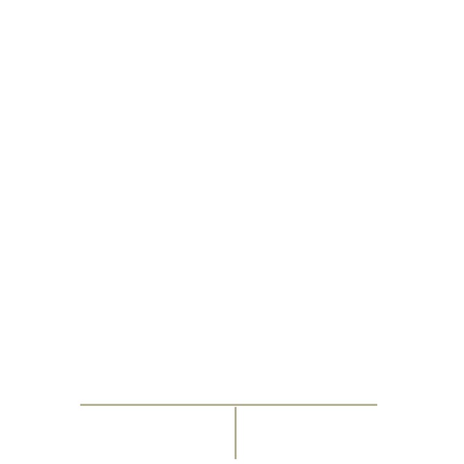 Cartelle Portadocumenti PERSONALIZZATE in Cartoncino Semilucido, Bianco, 350 gr, 22,5 x 32 cm, 2 Tasche, 50 Pezzi, senza lembi 9