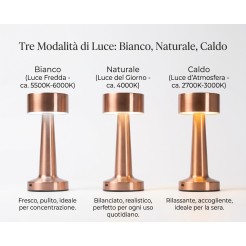 Lampada in metallo ricaricabile con 3 modalità di iluminazione a LED - 21x9 cm - ROSA 1 2