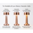 Lampada in metallo ricaricabile con 3 modalità di iluminazione a LED - 21x9 cm - ROSA 2