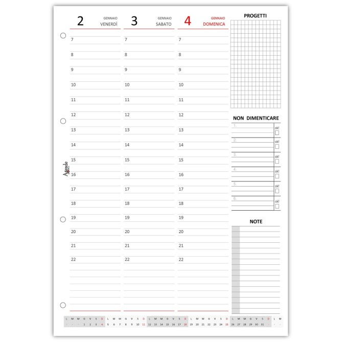 Ricambio Agenda Settimanale 2027 A4, Formato 21x30 cm, Carta FSC 90g, 4 Fori, Orari Verticali, Note e Appunti 4