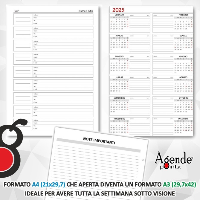 Agenda Prenotazioni 2027 Spiralata per Hotel e B&B, Formato A4 21x29,7 cm, da 6 a 12 Stanze, Copertina Plastificata 5