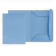 25 Cartelle In Cartoncino 3 Lambi 25x33 180g Senza Stampa Azzurro 1