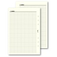 Ricambio agenda organizer a quadri 15x21cm A5 6fori 30pz 30fogli avorio 1