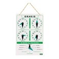 Targa Orario Di Lavoro In Pvc Bianca Con Catenella E Lancette 20x13 1