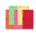 Ricambio agenda organizer a righe 9,5x17cm 6fori 50fogli 1