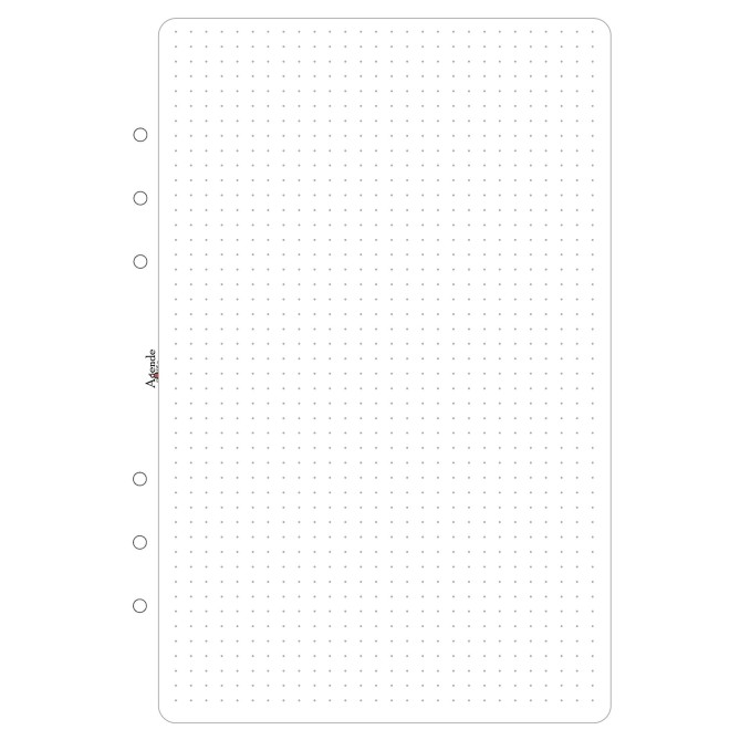 Ricambio agenda organizer dots grid 15x21cm A5 6fori 30pz 30fogli 2