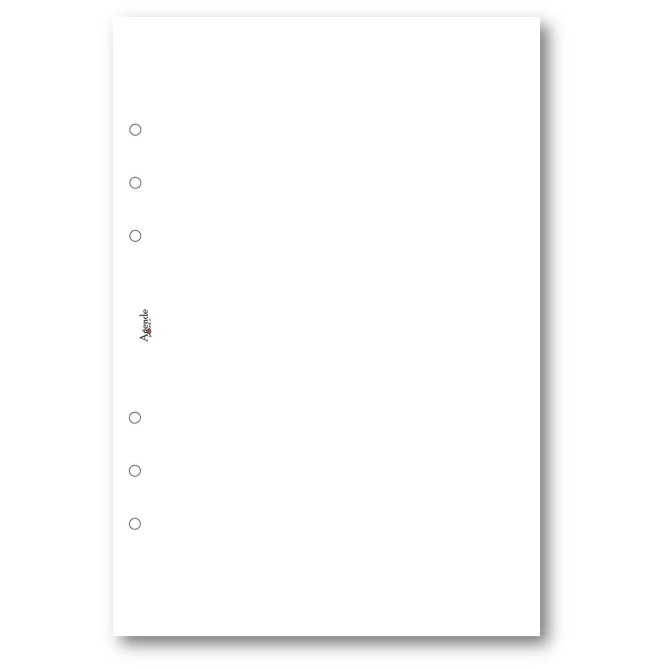 Ricambio agenda organizer vuoti 15x21cm A5 6fori 30fogli bianco 1
