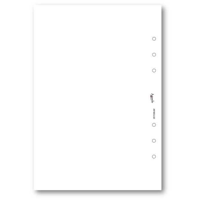 Ricambio agenda organizer vuoti 15x21cm A5 6fori 30fogli bianco 2